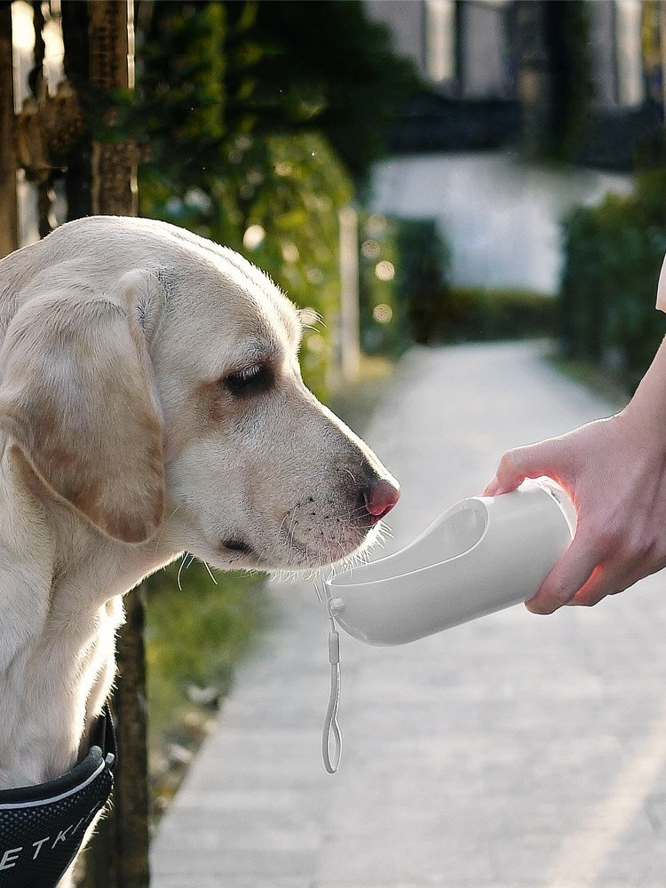 Outdoor Drinking And Feeding Cattle, Dog Water Supplies