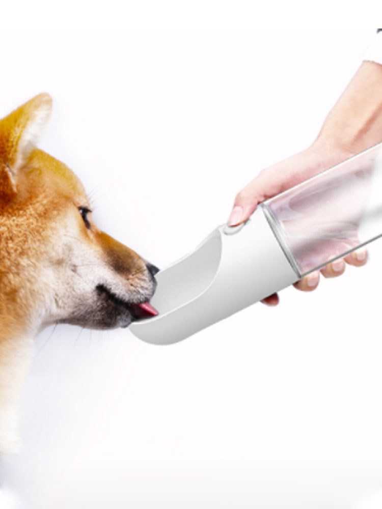 Outdoor Drinking And Feeding Cattle, Dog Water Supplies