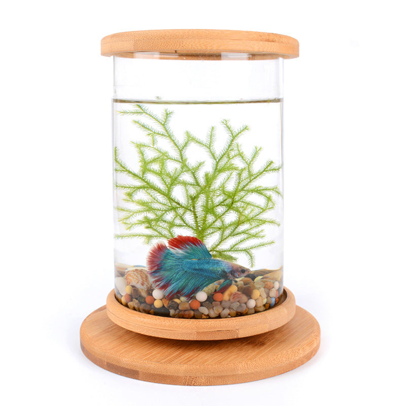 Small Office Glass Aquarium, Bamboo Base Mini Fish Tank, Decoration Fish Bowl