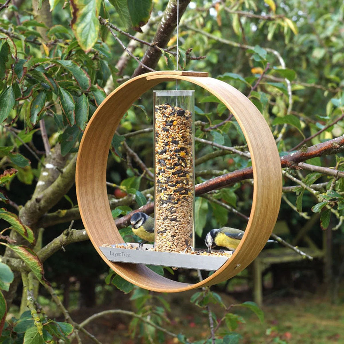 Simple Hanging Bird Feeder, Birding Supplies