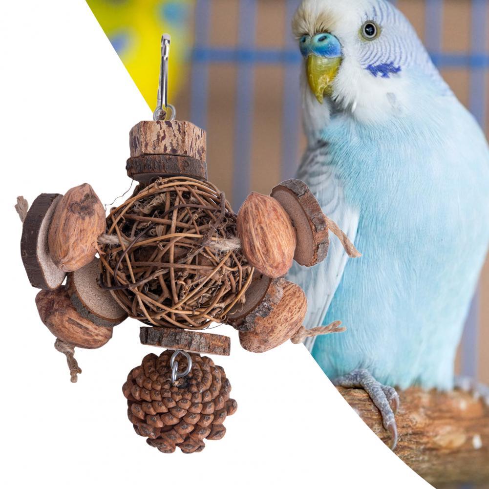 Fruit Wood Parrot Toy, Bird Supplies