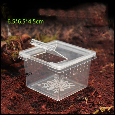 Insect feeding box