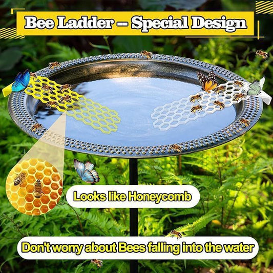 Bee Insect Drinking Water, Bee Ladder, Insect Floating