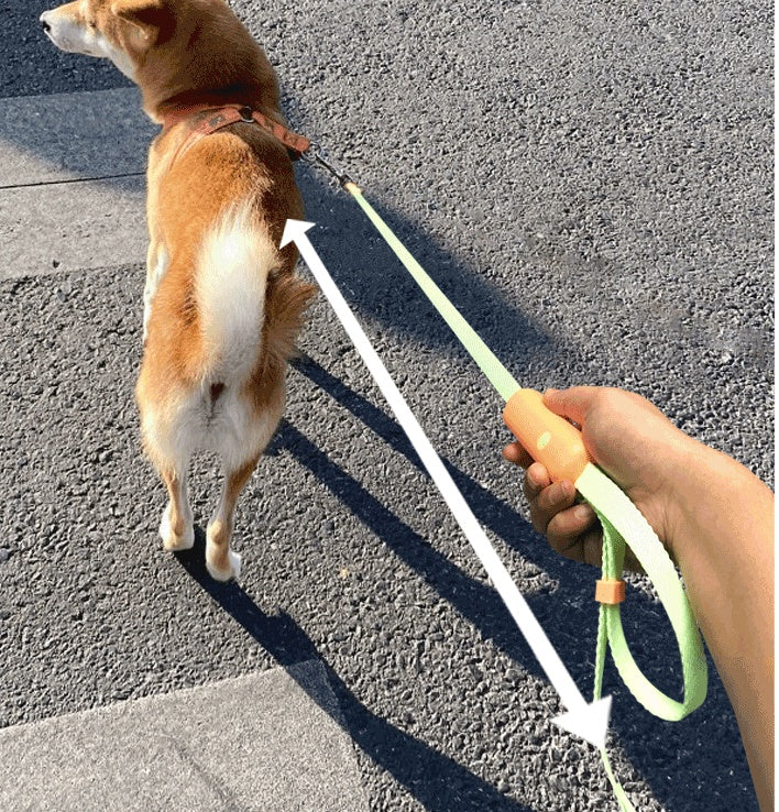 Pet Supplies, Retractable Adjustable Dog Leash